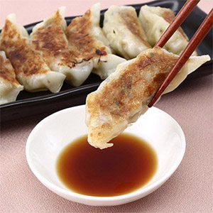 特選はままつ餃子 45個入り【代引不可】 特選はままつ餃子 45個入り【代引不可】